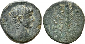 PHRYGIA. Hierapolis. Gaius (Caesar, 1 BC-4 AD). Lynkeus(?), magistrate. Struck under Augustus