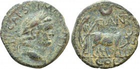 PISIDIA. Antioch. Titus (Caesar, 69-79). Ae