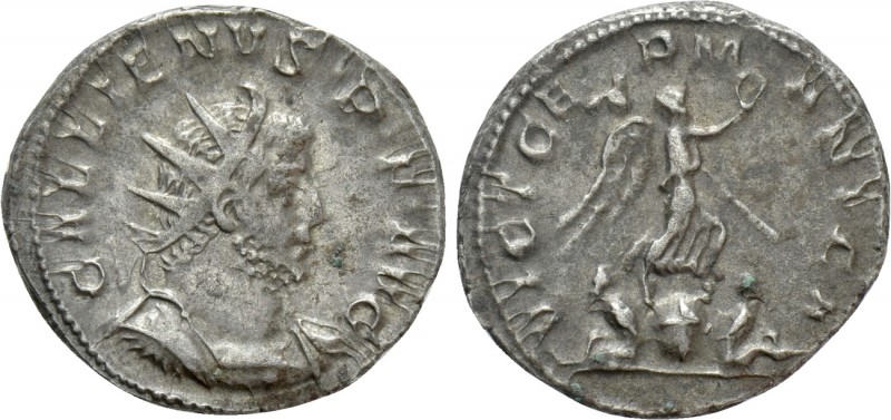 GALLIENUS (253-268). Antoninianus. Colonia Agrippinensis. 

Obv: GALLIENVS P F...