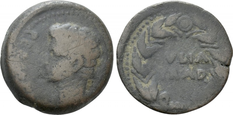 HISPANIA. Baetica. Julia Traducta. Augustus (27 BC-14 AD). As. 

Obv: PERM CAE...