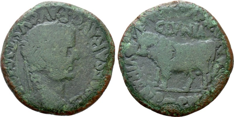 HISPANIA. Tarraconensis. Clunia. Tiberius (14-37). As. Cnaeus Pompeius, M. Avus,...