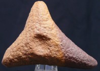 Néolithique - Creuset en pierre
Creuset en pierre dure de couleur marron de forme triangulaire avec un petit creuset de chaque côté. 90 * 80 mm.