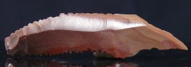 Egypte - Prédynastique - Lame en silex
Belle petite lame en silex, probablement de Thèbes. 60 mm.