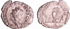 Salonin - Antoninien (258-60, Cologne) - Objets pontificaux
A/ SALON VALERIANVS CAES Buste radié et drapé à droite. 
R/ PIETAS AVG. Bâton d'augure, ...