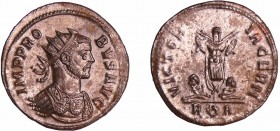 Probus - Aurélianus (Rome)
A/ IMP PROBVS AVG Buste radié, drapé et cuirassé à droite. 
R/ VICTORIA GERM // R (couronne) A. Trophée entre deux captif...