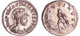 Maximien Hercule - Aurélianus (287-289, Lyon) - Hercule
A/ IMP C MAXIMIANVS P F AVG Buste radié et cuirassé à droite. 
R/ VIRTVTI AVGG. Hercule debo...