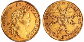 Louis XV (1715-1774) - Louis d’or à la croix du Saint-Esprit - 1719 A (Paris)
SUP
L4L.428-Ga.336
Au ; 9.77 gr ; 26 mm