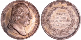 Jeton en argent - Louis XVIII, Chemin de fer de St Etienne à la Loire 1824
SPL
--
Ar ; 18.33 gr ; 35 mm
Tranche lisse.