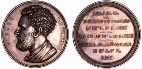 Médaille maçonnique en argent, Pierre Van Humbeeck, 1869
SUP
H.Z.C. 260
Ar ; 70.09 gr ; 63 mm