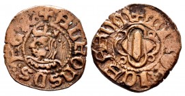The Crown of Aragon. Alfonso IV (1416-1458). Diner. Menorca. (Cru-858). (Cru C.G-3781). Ae. 1,35 g. Scarce in this grade. Almost VF. Est...110,00. 
...