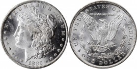 Morgan Silver Dollar

1882-CC Morgan Silver Dollar. VAM-2C. Hit List. Counter Clash. MS-65+ (PCGS).

PCGS# 413031.

Estimate: $ 425