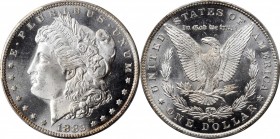 Morgan Silver Dollar

1882-CC Morgan Silver Dollar. VAM-2C. Hit List. Counter Clash. MS-65 DMPL (PCGS).

PCGS# 413033.

Estimate: $ 1400