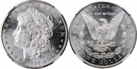Morgan Silver Dollar

1884-CC Morgan Silver Dollar. VAM-2. Repunched Date, 18/18. MS-62 (NGC).

PCGS# 7152. NGC ID: 254M.

Estimate: $ 250