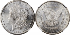 Morgan Silver Dollar

1884-CC Morgan Silver Dollar. VAM-2. Repunched Date, 18/18. MS-61 (NGC).

PCGS# 7152. NGC ID: 254M.

Estimate: $ 250