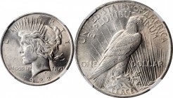 Peace Silver Dollar

1922 Peace Silver Dollar. VAM-2C1. Top 50 Variety. Extra Hair. MS-62 (NGC).

PCGS# 133738. NGC ID: 257C.

Estimate: $ 75