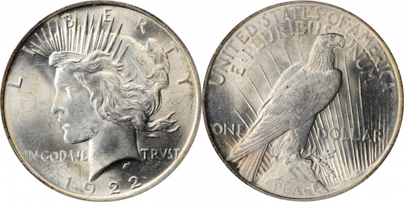 Peace Silver Dollar

1922 Peace Silver Dollar. VAM-2E. Top 50 Variety. Wing Br...