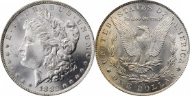 Morgan Silver Dollar

1882-CC GSA Morgan Silver Dollar. MS-65 (NGC).

The original box and card are not included.

PCGS# 518866. NGC ID: 254B.
...
