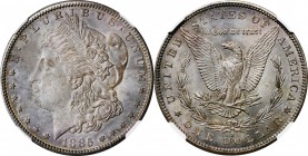 Morgan Silver Dollar

1885-S Morgan Silver Dollar. MS-63 (NGC).

PCGS# 7164. NGC ID: 254U.

Estimate: $ 300
