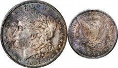 Morgan Silver Dollar

1887-S Morgan Silver Dollar. MS-64 (PCGS).

PCGS# 7180. NGC ID: 2554.

Estimate: $ 400