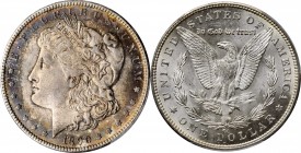 Morgan Silver Dollar

1890-CC Morgan Silver Dollar. MS-64 (PCGS).

PCGS# 7198. NGC ID: 255D.

Estimate: $ 900