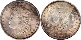 Morgan Silver Dollar

1891-CC Morgan Silver Dollar. MS-64 (PCGS).

PCGS# 7206. NGC ID: 255H.

Estimate: $ 1000