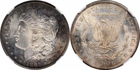 Morgan Silver Dollar

1897-S Morgan Silver Dollar. MS-64 (NGC).

PCGS# 7250. NGC ID: 2567.

Estimate: $ 150