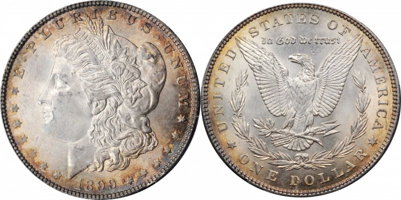 Morgan Silver Dollar

1899 Morgan Silver Dollar. MS-64 (PCGS).

PCGS# 7258. ...