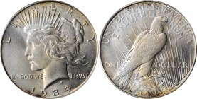 Peace Silver Dollar

1934 Peace Silver Dollar. MS-63 (PCGS).

PCGS# 7375. NGC ID: 257X.

Estimate: $ 170