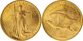 Saint-Gaudens Double Eagle

1907 Saint-Gaudens Double Eagle. Arabic Numerals. MS-62 (PCGS). OGH.

PCGS# 9141. NGC ID: 26F5.

Estimate: $ 2000