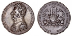 MEDALLAS
FRANCIA
AE-41. Luis Antonio Duque de Angouleme, 1819. Grabador Desnoyers. El metal empleado es zinc con un baño. Ligeros golpecitos en list...