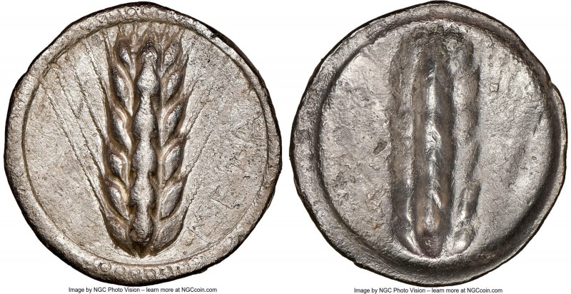 LUCANIA. Metapontum. Ca. 510-470 BC. AR stater (25mm, 12h). NGC Choice VF, edge ...