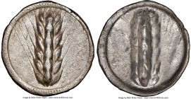 LUCANIA. Metapontum. Ca. 510-470 BC. AR stater (25mm, 12h). NGC Choice VF, edge bend. META, five-grained barley ear; guilloche border on raised rim / ...