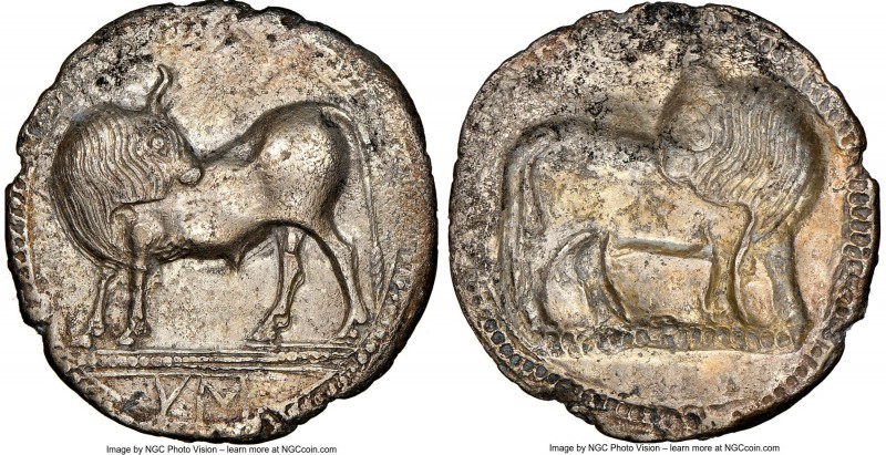 LUCANIA. Sybaris. Ca. 550-510 BC. AR stater or nomos (29mm, 7.27gm, 12h). NGC (p...
