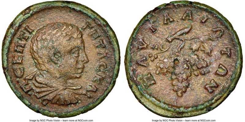 THRACE. Pautalia. Geta, as Caesar (AD 209-211). AE (19mm, 6h). NGC Choice VF. Π ...