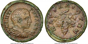 THRACE. Pautalia. Geta, as Caesar (AD 209-211). AE (19mm, 6h). NGC Choice VF. Π CΕΠΤΙ-ΓΕΤΑC KAI, bare headed, draped and cuirassed bust of Geta right,...
