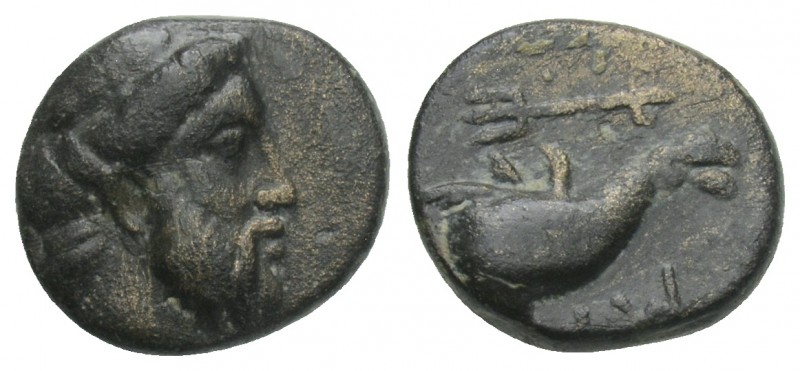 Greek
IONIA, Myos. 4th century BC. Æ 1.4gr 11.2mm
Laureate head of Poseidon ri...