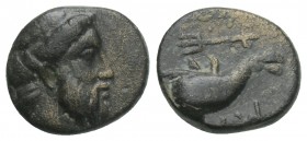 Greek
IONIA, Myos. 4th century BC. Æ 1.4gr 11.2mm
Laureate head of Poseidon right / Dolphin leaping l., trident below. SNG Copenhagen 1022. VF
