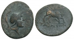 Greek Coins
Helmeted head of Mars right. Horse crouching r., preparing to roll 2.8gr 17.5mm