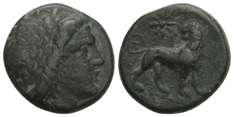 Greek
Ionia. Miletos . circa 350-190 BC. Bronze Æ 4.3gr 17mm
Laureate head of ...