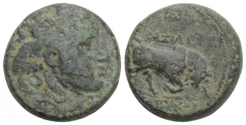 Greek
Seleucid Kingdom, Seleukos I 312-281 BC, AE 6.2gr 17.8mm
Obv: Winged head ...