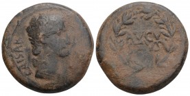 Roman Provincial 
SYRIA. Antioch. Augustus (27 BC-AD 14). AE as. Ca. 27-23 BC. 12.8GR 27.7MM
CAESAR, bare head of Augustus right / AVGVSTVS, laurel wr...