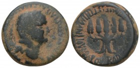 Roman Provincial Coins 
PHRYGIA. Apameia. Vespasian (69-79). Ae. Plancius Verus, magistrate. 8.5gr 23.6mm
Obv: AYTOKPATΩP KAIΣAP ΣEBAΣTOΣ OYEΣΠΑΣIANOΣ...