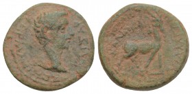 Roman Imperial
Germanicus, 15 BC - 19 AD AE14, Phrygia, Apameia Mint, 2.3gr 15mm
Obverse: Bare head of Germanicus right. Reverse: Stag standing right ...