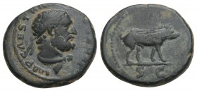 Roman Imperial
Trajan, 98 - 117 AE Quadrans Rome 2.8gr. 16mm
Obv .: IMP CAES TRAIAN AVG GERM, bust of bearded Hercules with lion skin. Back: S C, wild...