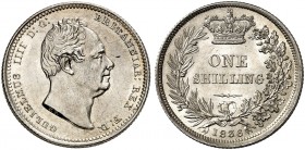 EUROPA. ENGLAND. William IV., 1830-1837. 
Shilling 1836. S. 3835 f. St / St