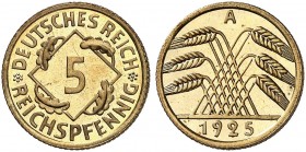 KURS - UND GEDENKMÜNZEN. J. 316, EPA 22 
5 Reichspfennig 1925 A. PP