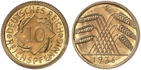 KURS - UND GEDENKMÜNZEN. J. 317, EPA 33 
10 Reichspfennig 1936 F. PP