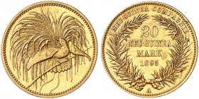 DEUTSCH - NEU - GUINEA. J. 709, EPA DNG 9 
20 Mark 1895 A. Gold kl. Rdf., vz
