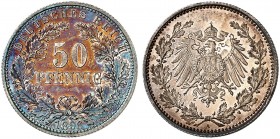 J. 15, EPA 46 
50 Pfennig 1896 A. schöne Patina, winz. Kr., PP