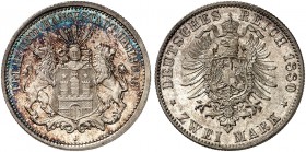 HAMBURG. J. 61, EPA 2/17 
2 Mark 1880. Prachtexemplar ! schöne Patina, St